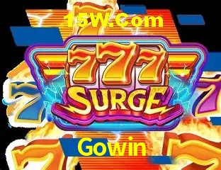 Segurança 2FA Gowin