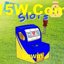 Premium Interface Gowin