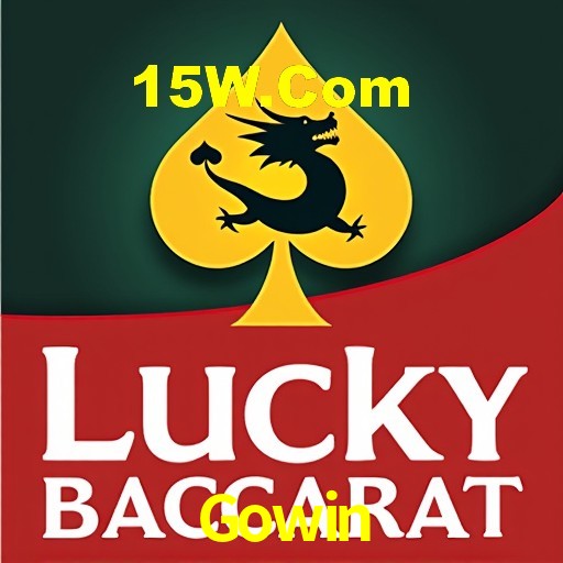 Interface Premium Gowin