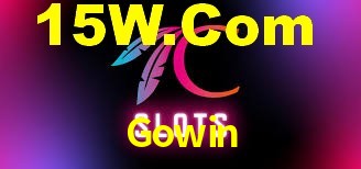 Explore as vantagens do Gowin: serviço profissional e confiabilidade