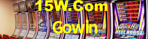 Gowin: Seu Especialista em Apostas Esportivas Brasileiras